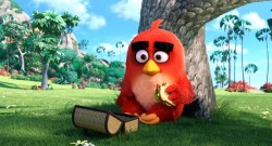 Angry Birds в кино Скриншот 2