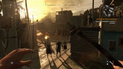 Dying Light: The Following Скриншот 4